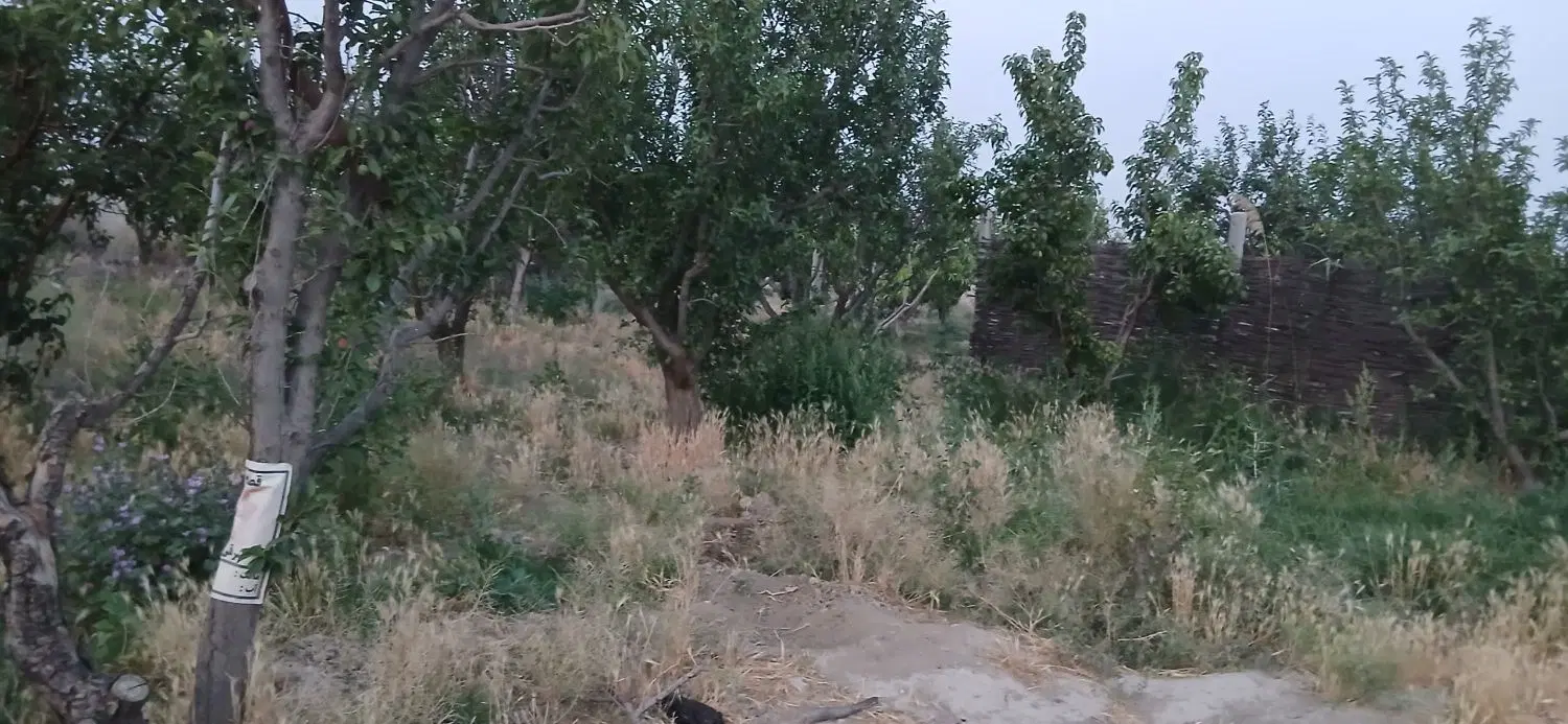 باغچه فروشی کرج کمال شهر ملک‌آباد