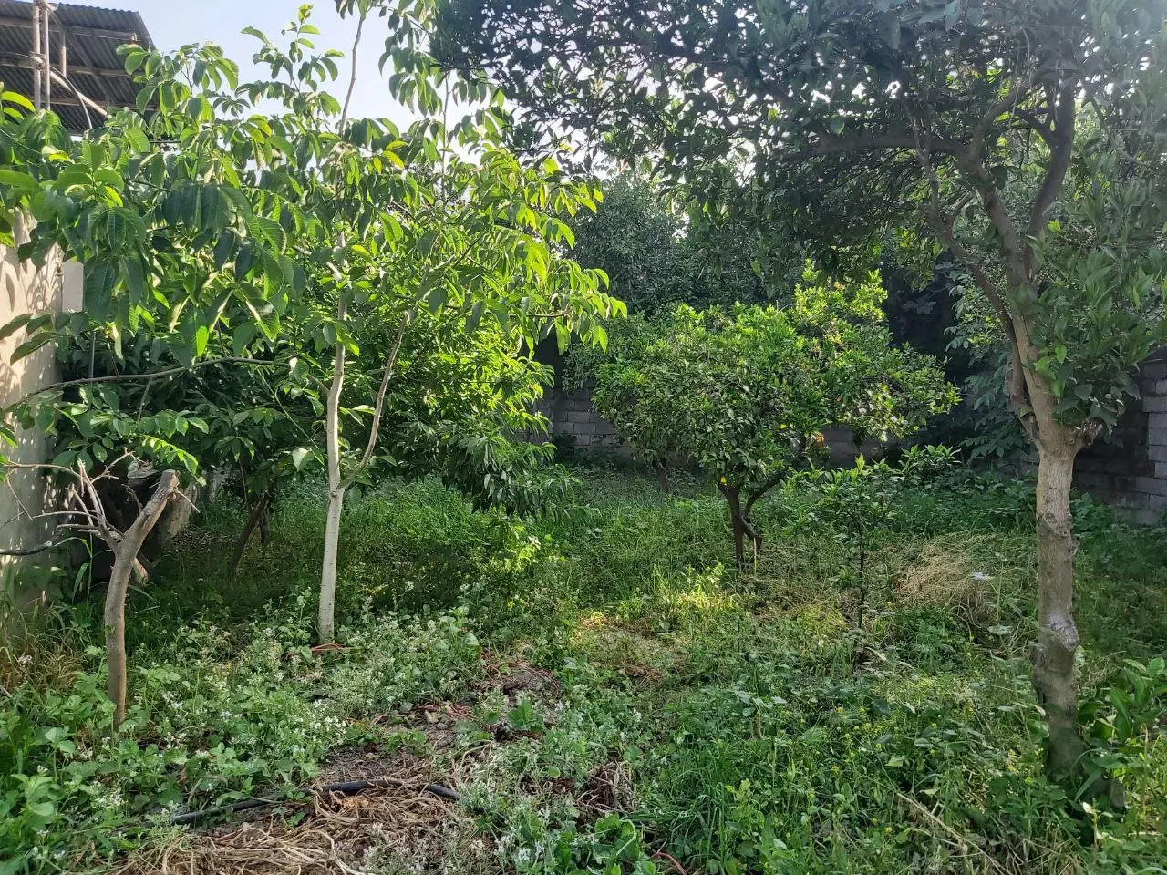 خانه کلنگی روستایی ۷۰۰ متری