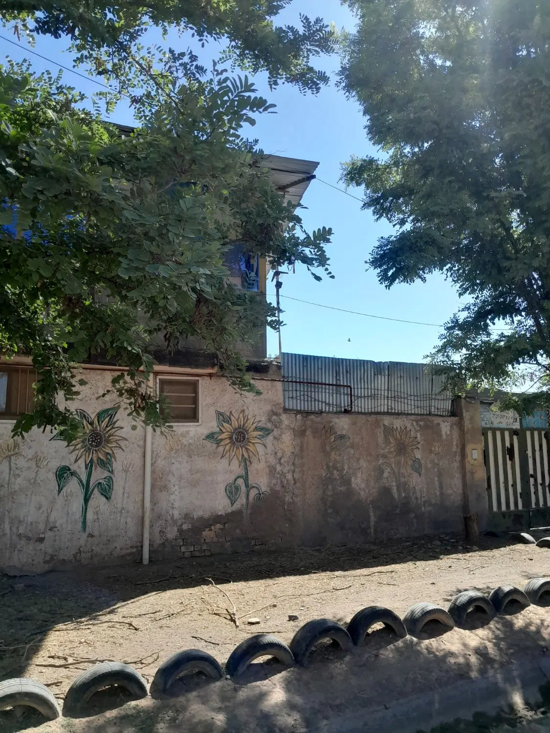 ۱۱۸۰ متر باغ در طرح هادی