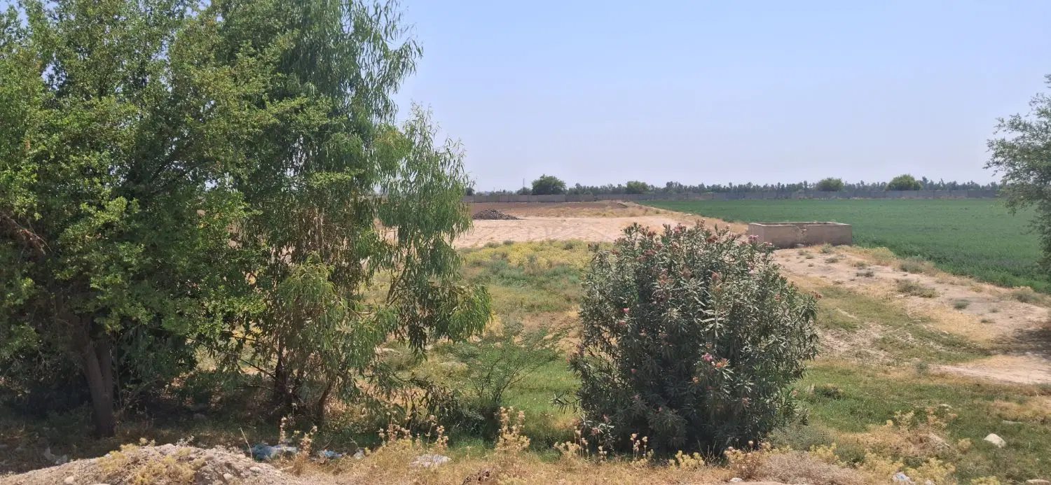 فروش4000 متر زمین جنب اتوبان اندیمشک به سمت دزفول