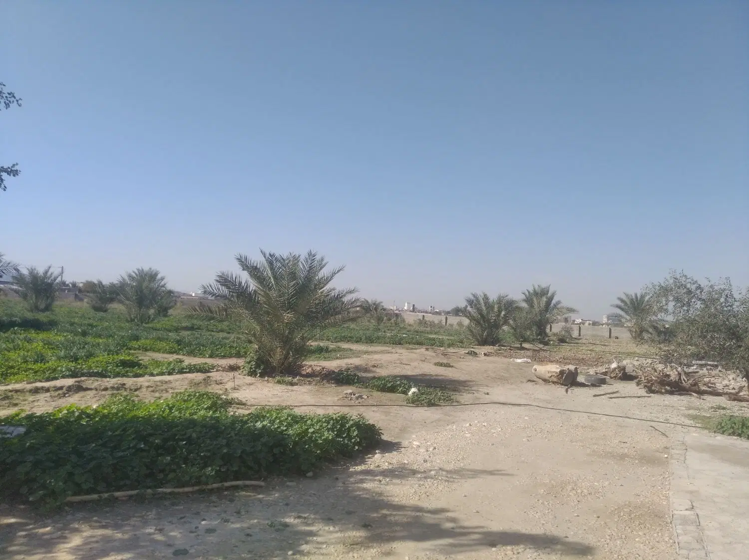 فروش زمین