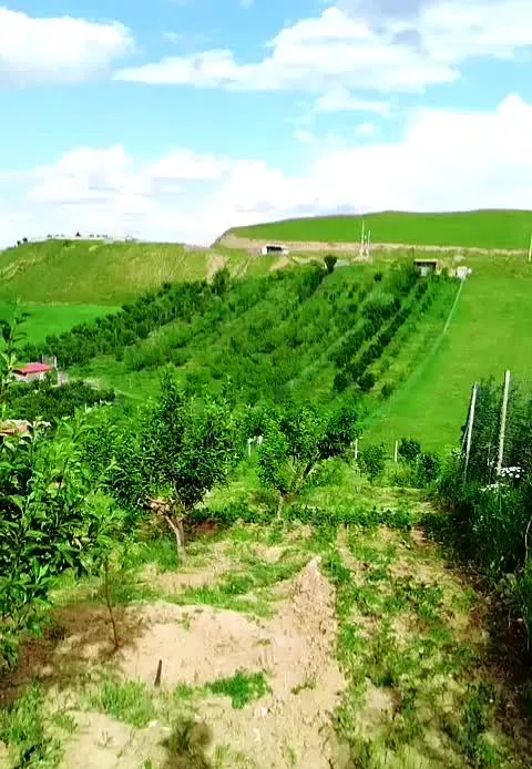 باغ ارسباران روستایی وردین