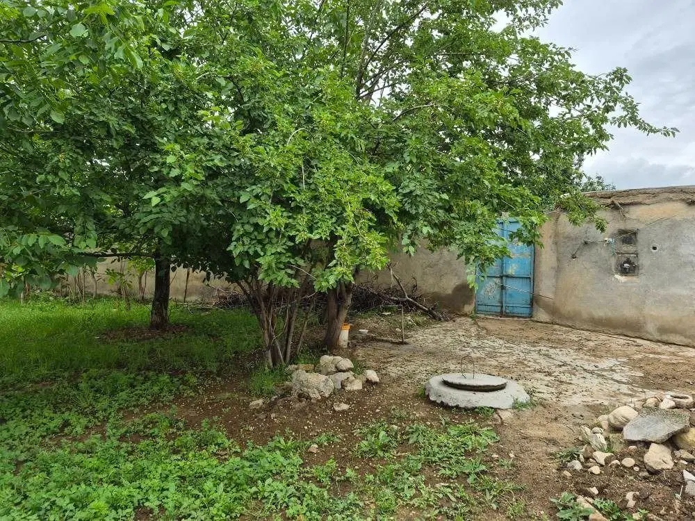 اجاره خونه   مکسن در اشخانه