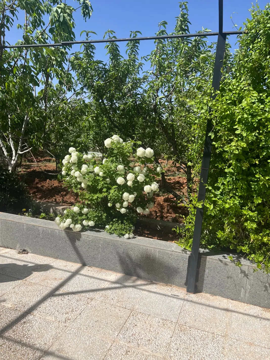 زمین باغشهری ابپرده دارای آب و برق
