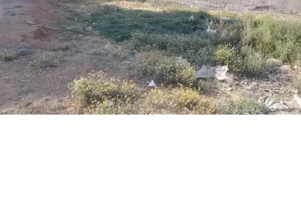 زمین روستای سرابیاس