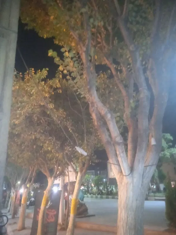 زمین باغی‌ شهرک قصردشت جاده‌میقان