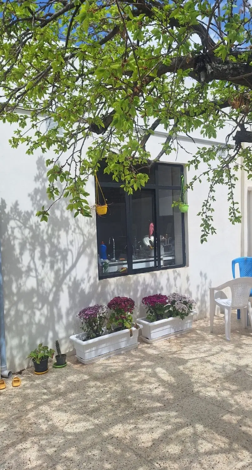 اجاره ویلایی