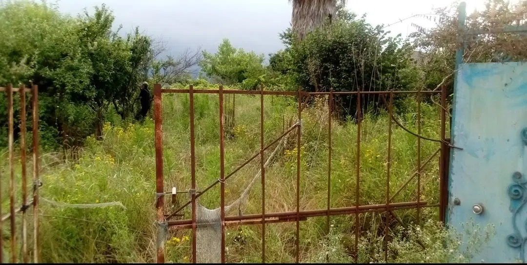 زمین ۶۲۱متر گیلان پره سر