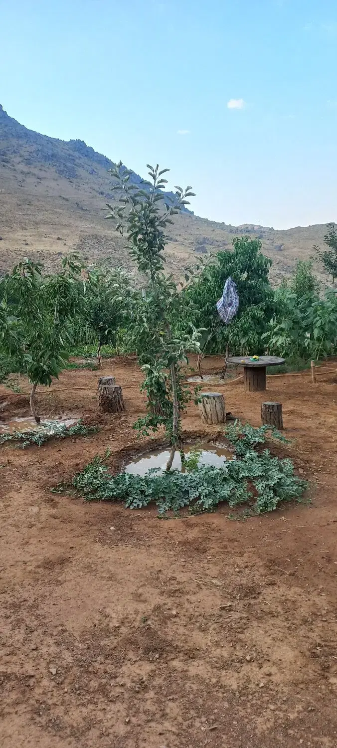 باغ