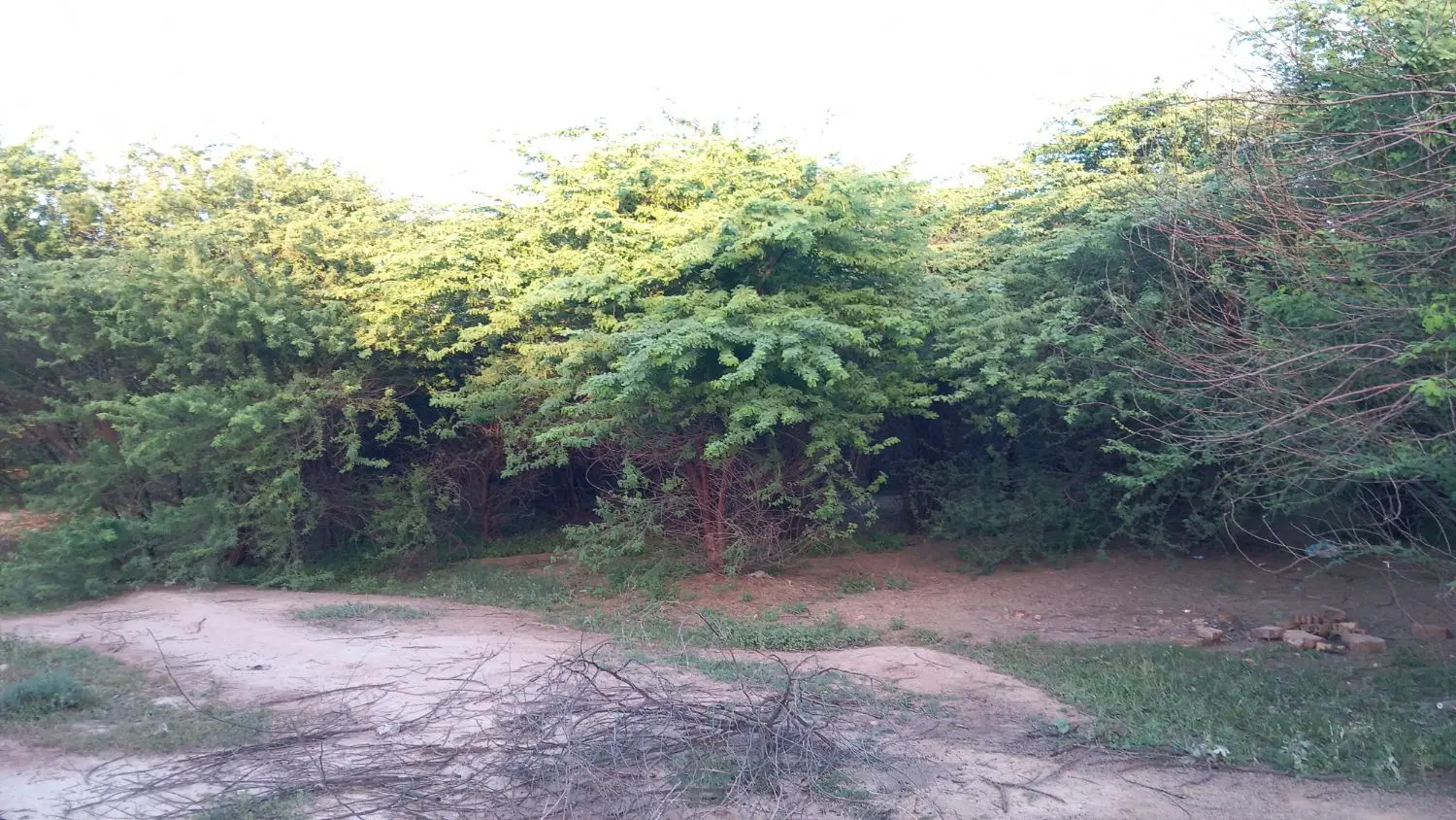 زمین ۲۰۰ متری ام طمیر