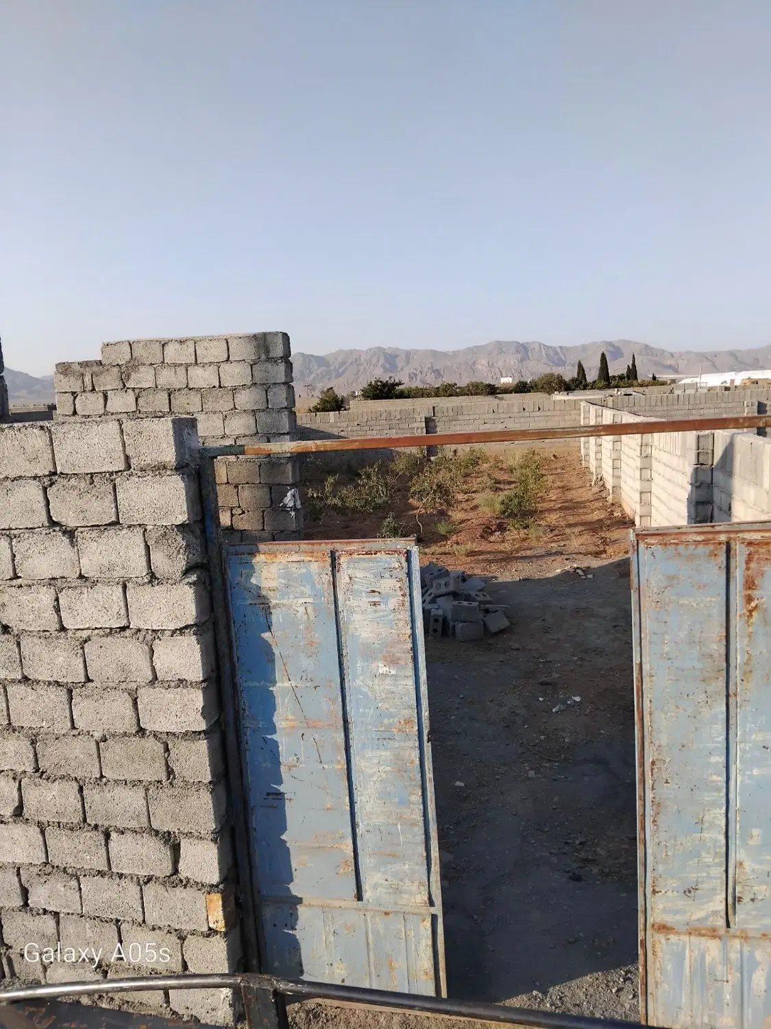 فروشی باغ_محصول بادام