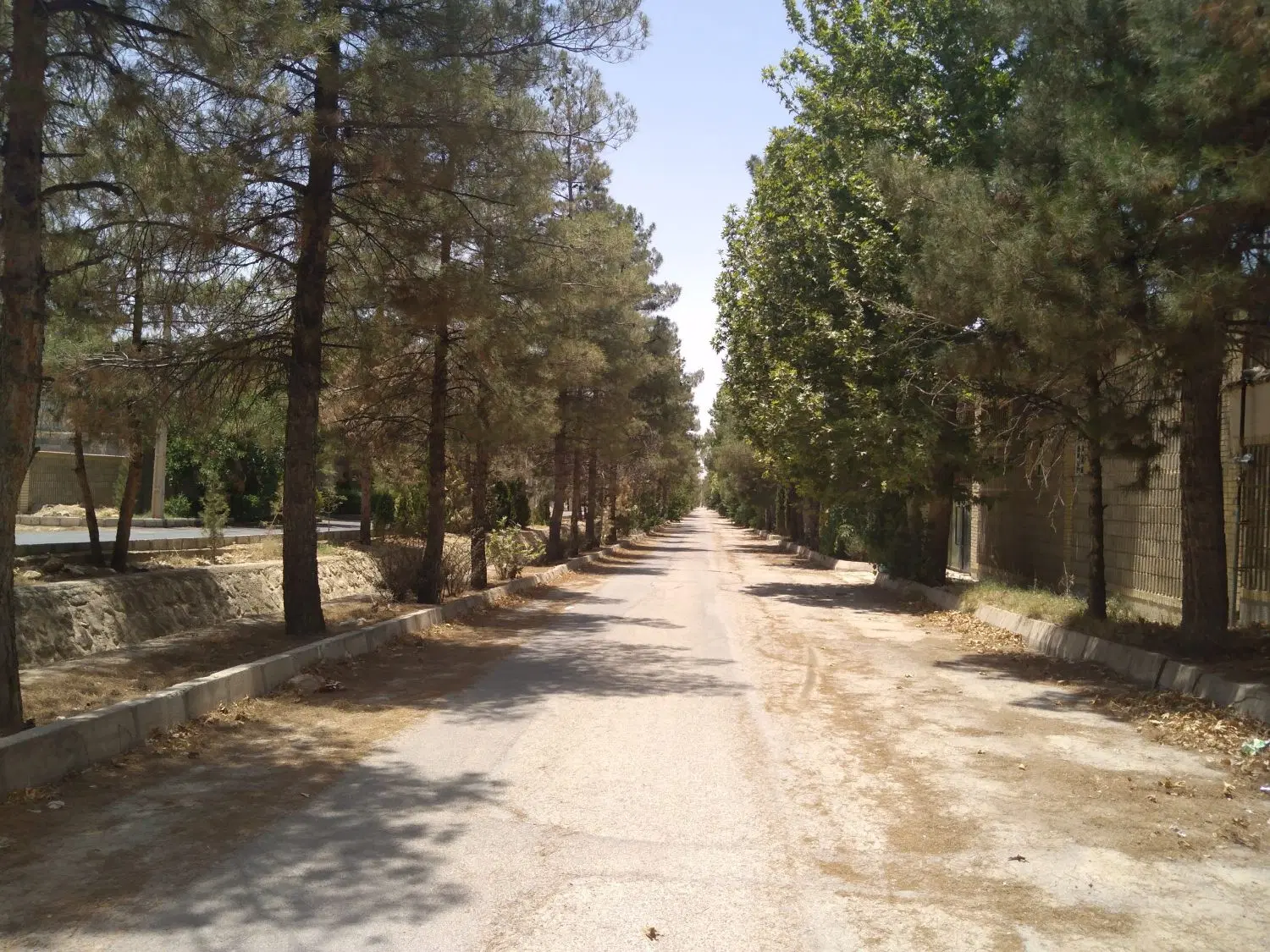 زمین باغشهری اهل بیت صدرا