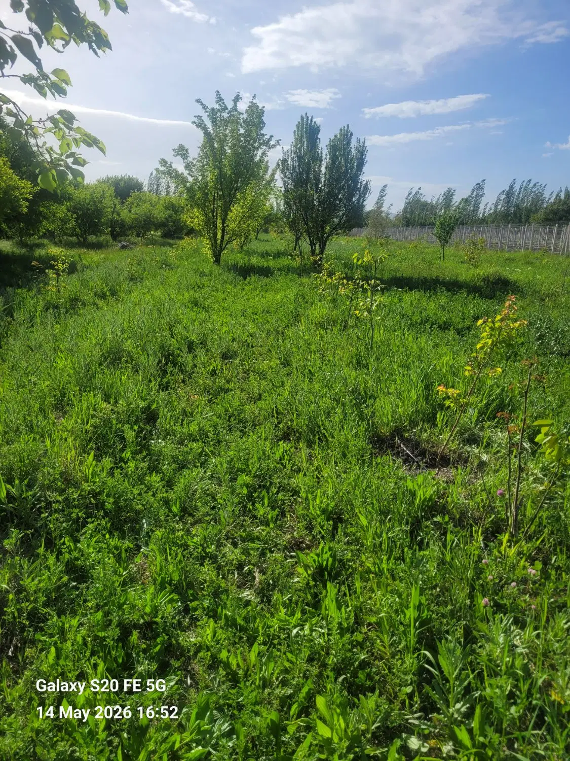 ویلاباغ به مساحت ۵۰۰۰ مترمربع ویلای شیک سندششدانگ