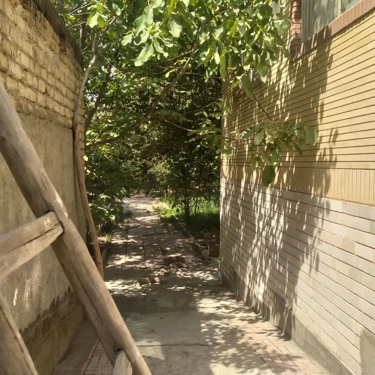 اجاره ی مسکونی ۶۰ متری