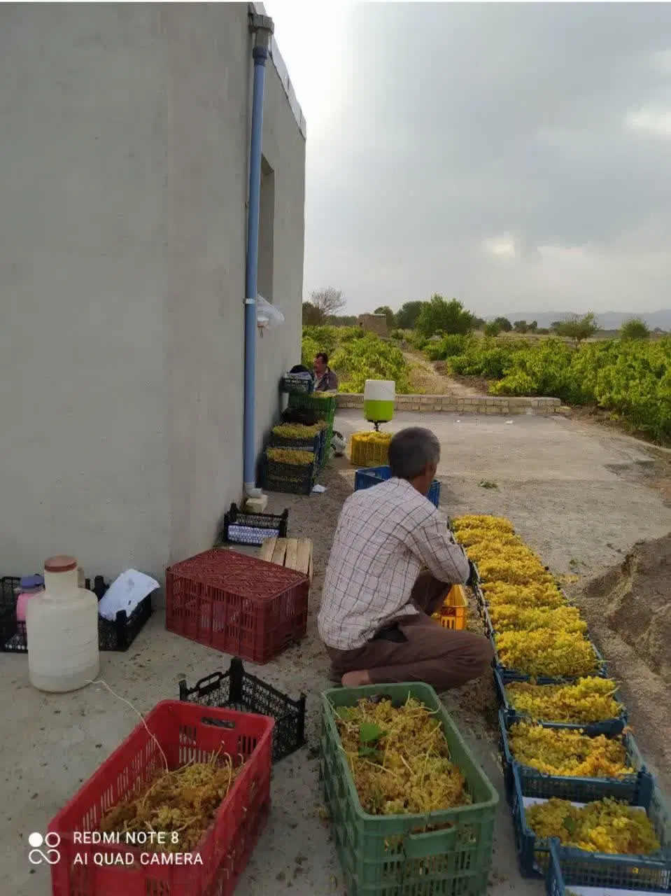 ۲۵۰۰متر زمین با بنا_ اینو باید از نزدیک دید