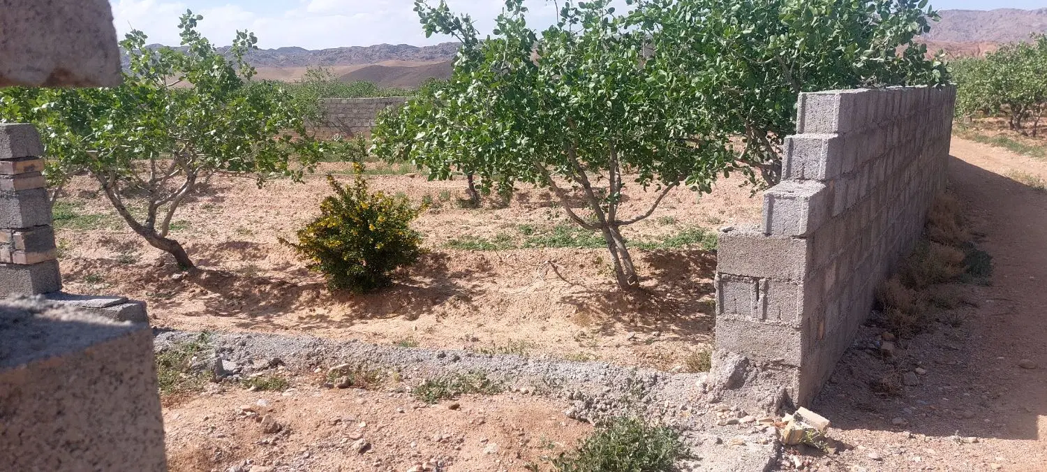 باغ به متراژ ۱۰۰۰متر به همراه ۲ساعت اب
