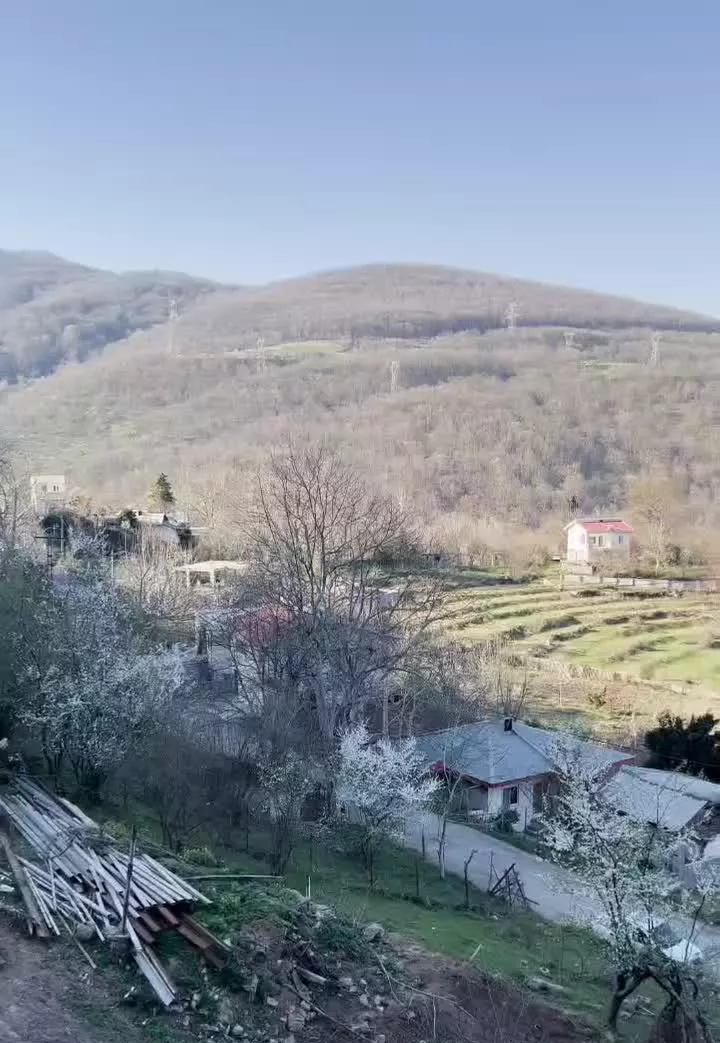 زمین استثنایی ۳۲۰ متر مسکونی سند تک برگ