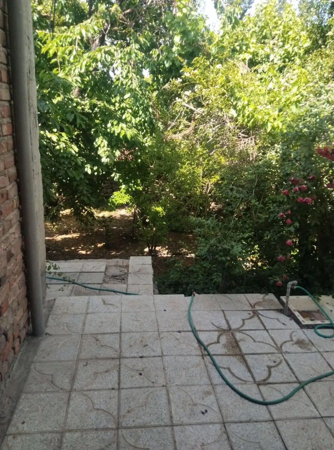اجاره خانه باغ دلنشین روزانه