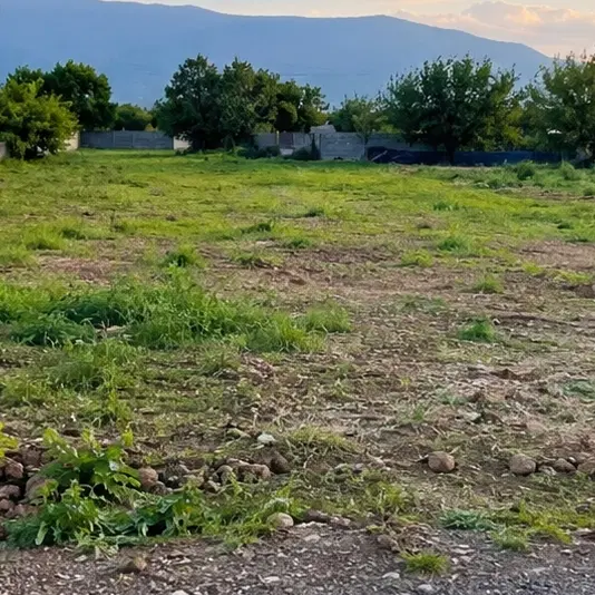 زمین آینده دار