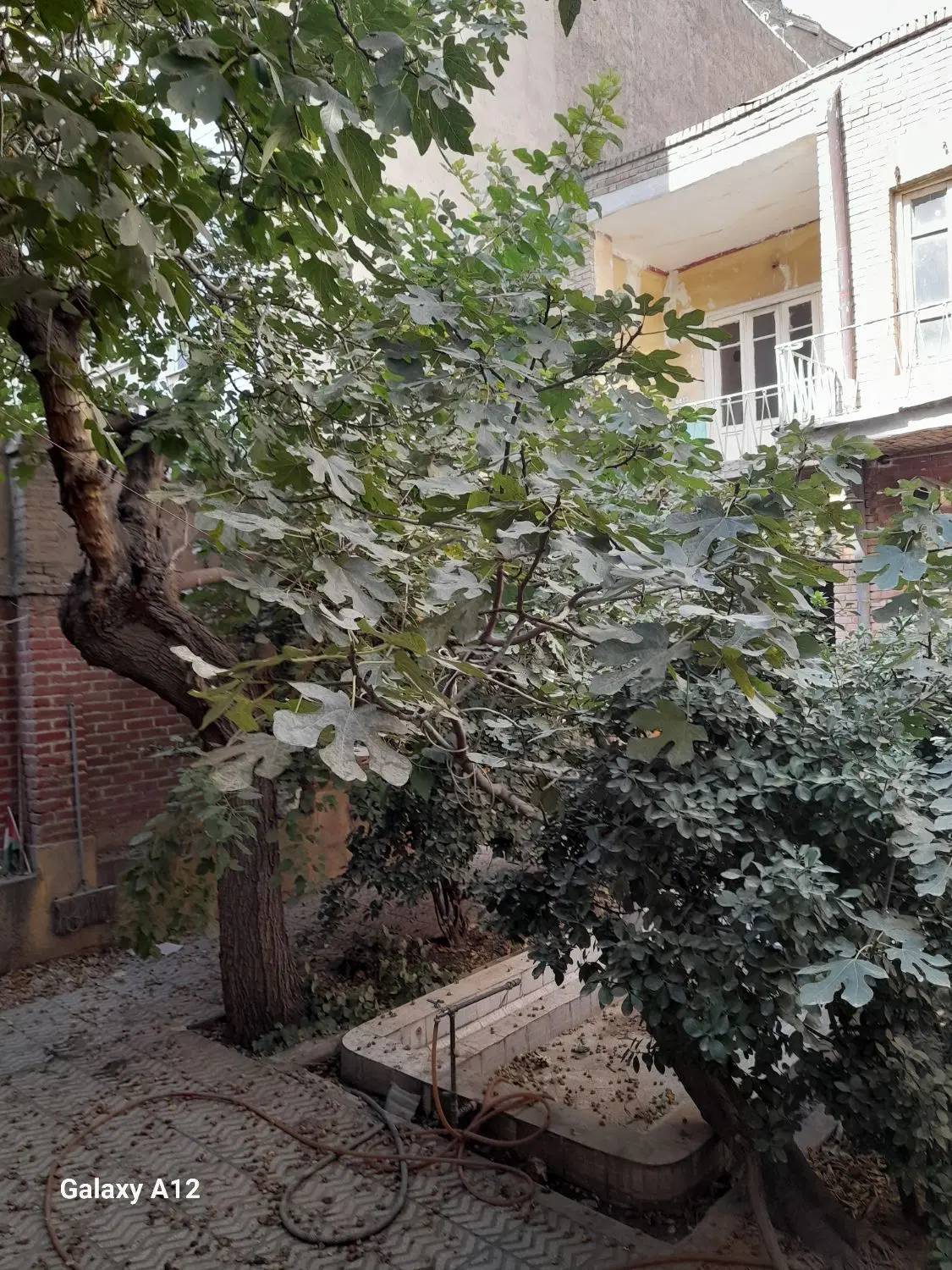 ملک ویلایی۱۵۵ متری