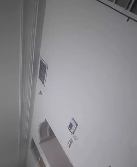 هم خانه بدون اجاره .