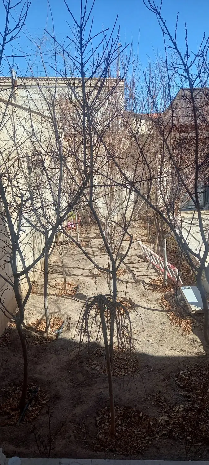 سانیار شهروند