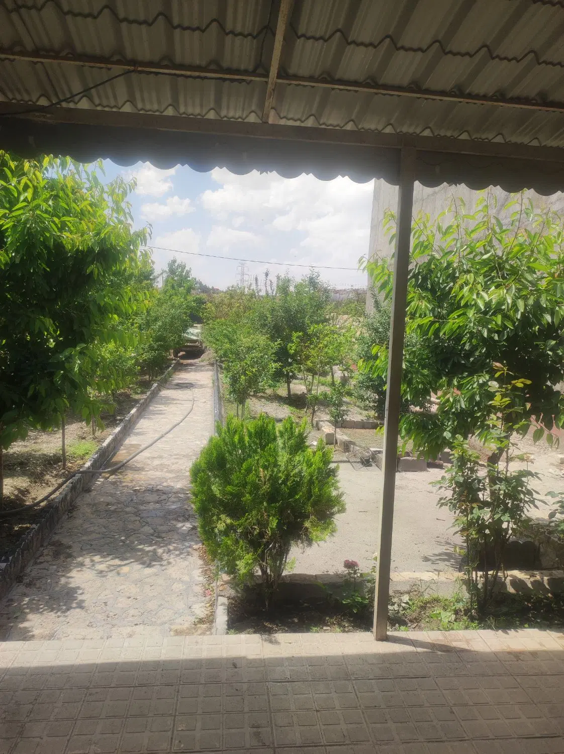 باغ ییلاقی کاهو