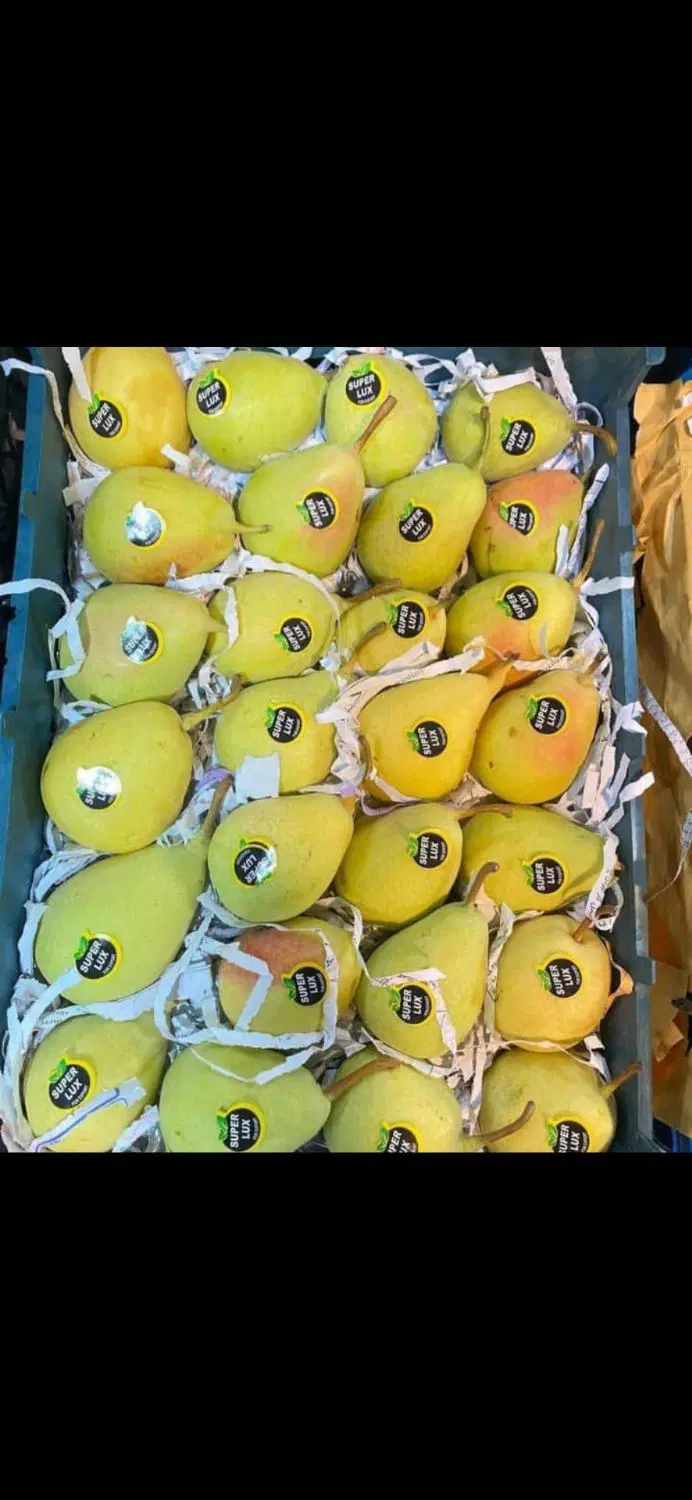 فروش باغ گلابی