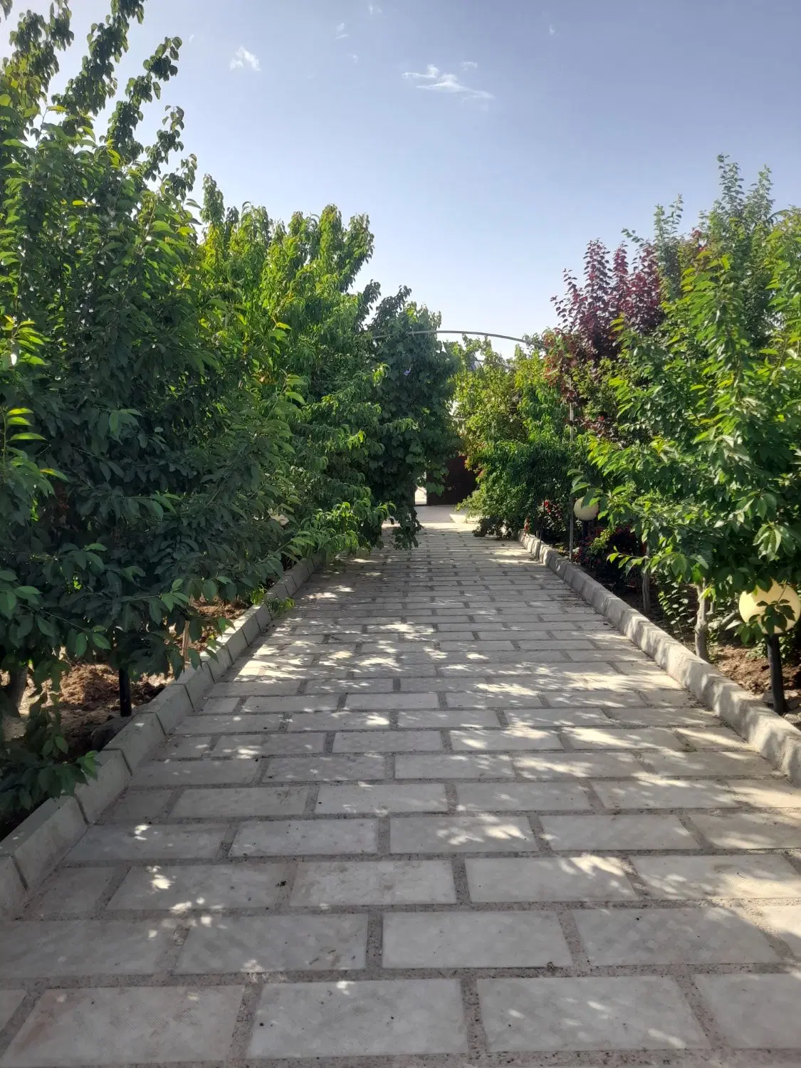 باغ ۶۰۰ متری در بهار
