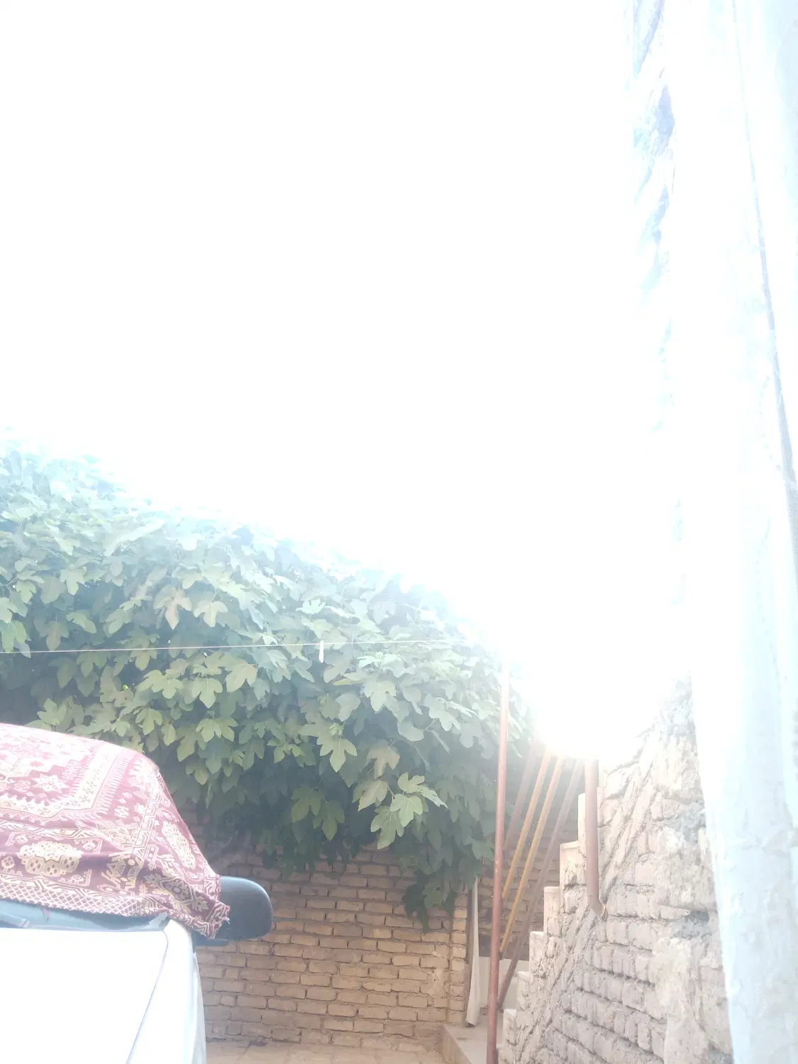 خانه ۱۵خرداد۱ داخل کوچه طبقه بالا