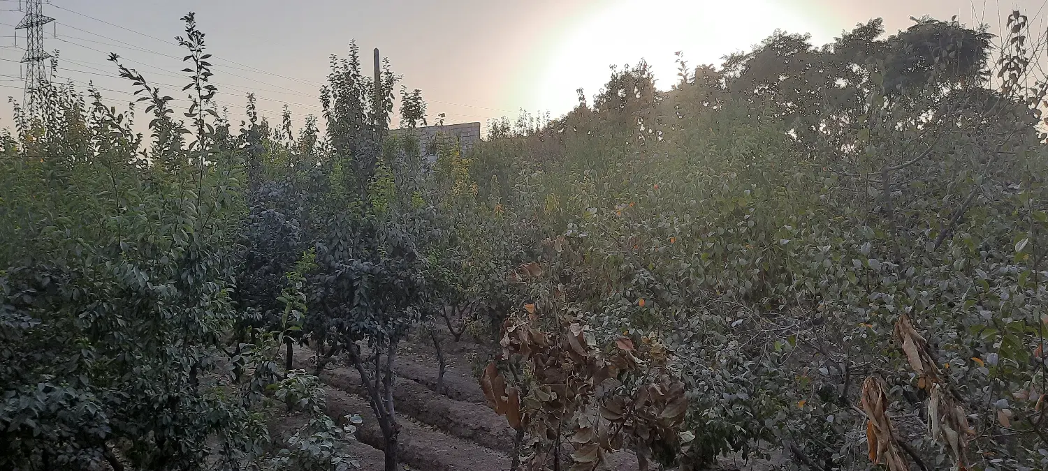 باغ ویلا قلعه سفید