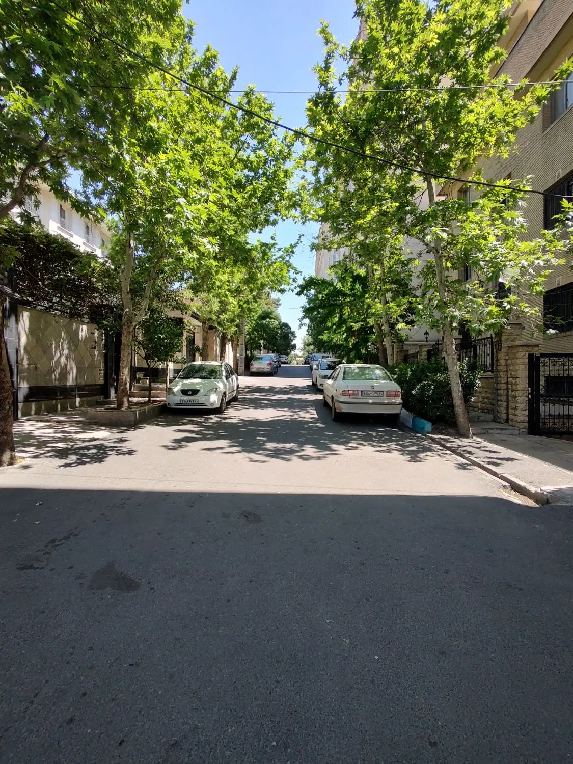 کلنگی در بهترین نقطه دیباجی بدون تکرار