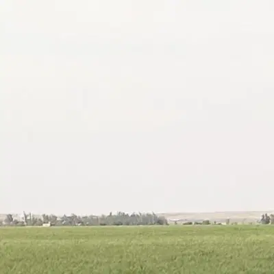 زمین گرگاو...چشمه کبود س ینم