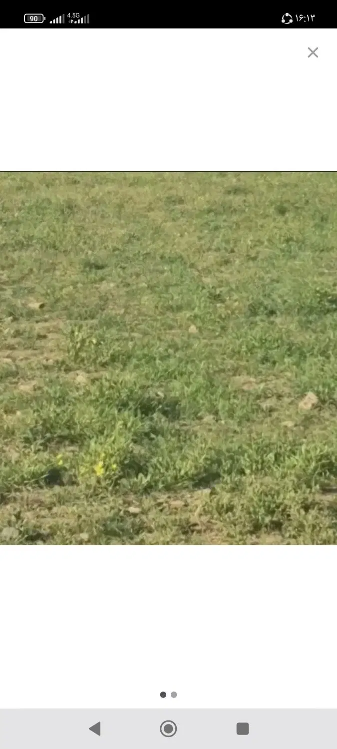 زمین کشاورزی