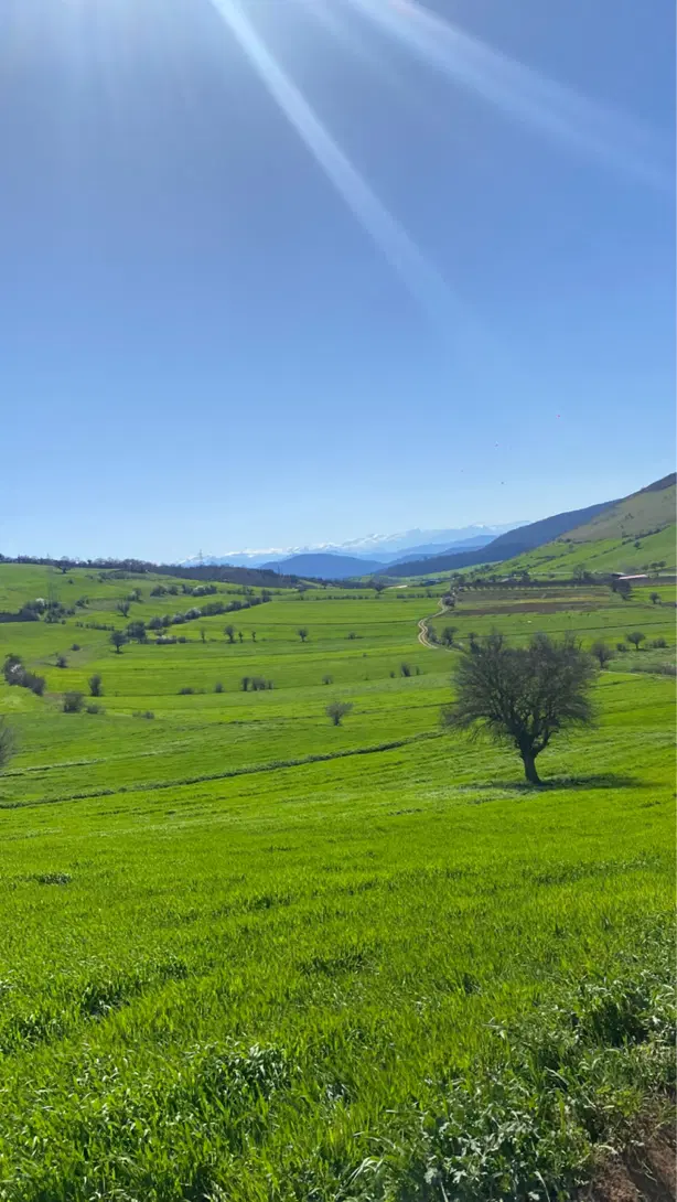 زمین ۴۰۰ متری جنب نمک آبرود جاده یالبندان میانکی