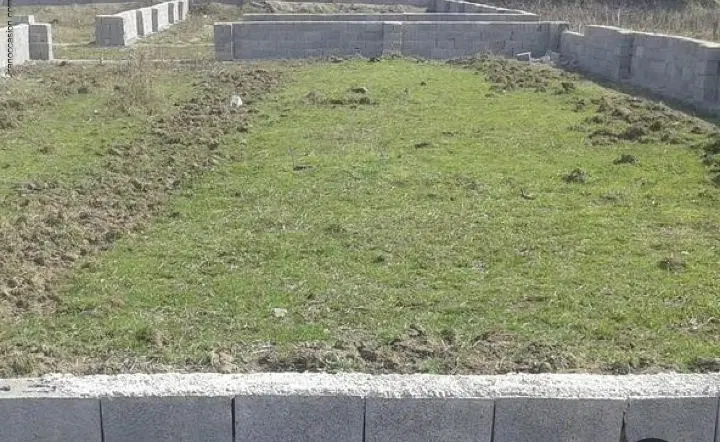 زمین نهضت ملی