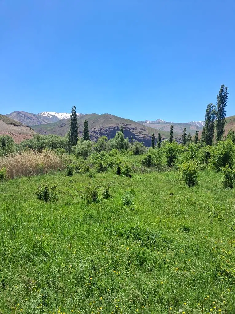 باغ  در روستای  زیبای  جوستان  طالقان