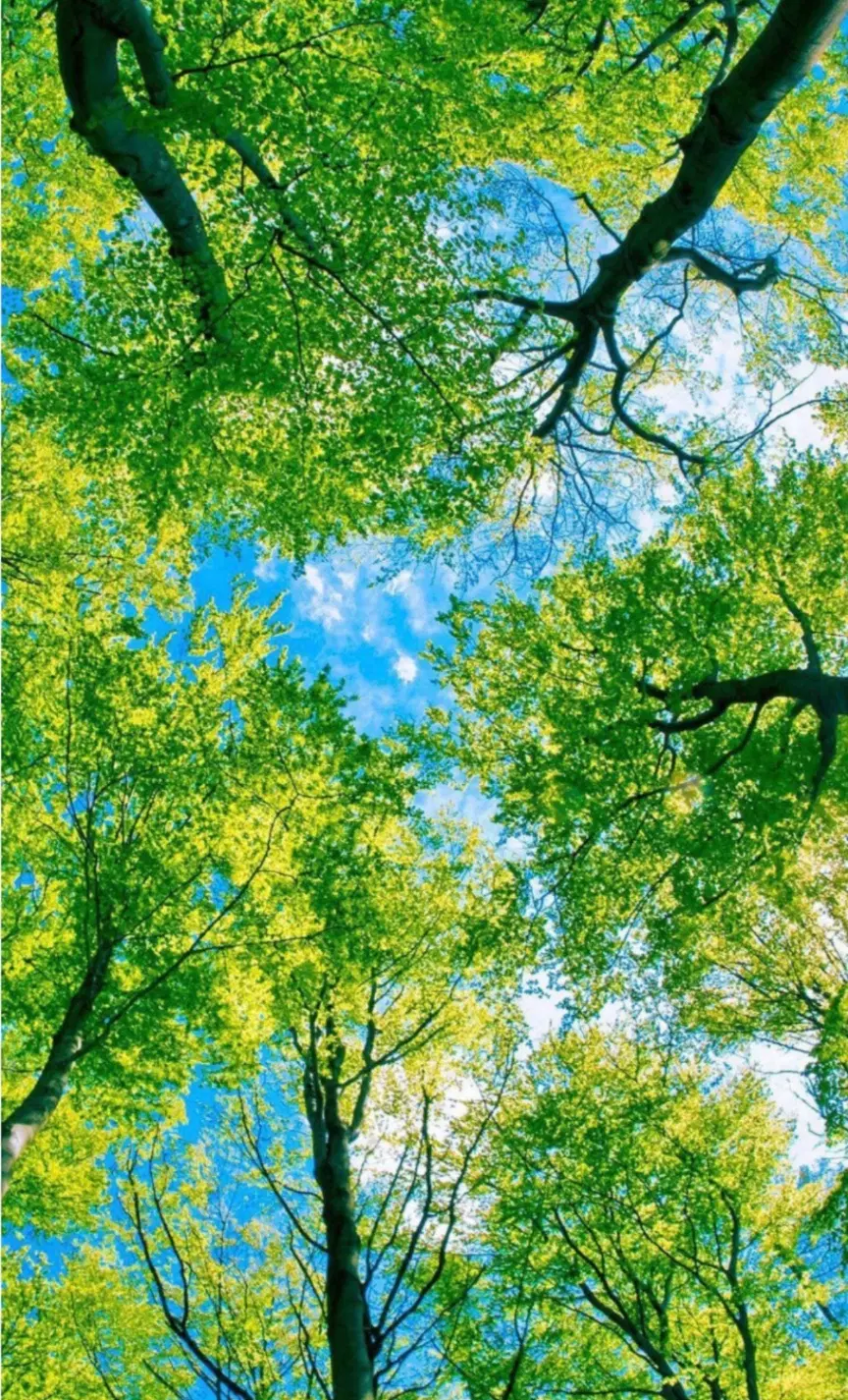 ۵۰۰متر باغ در شهرک آرین