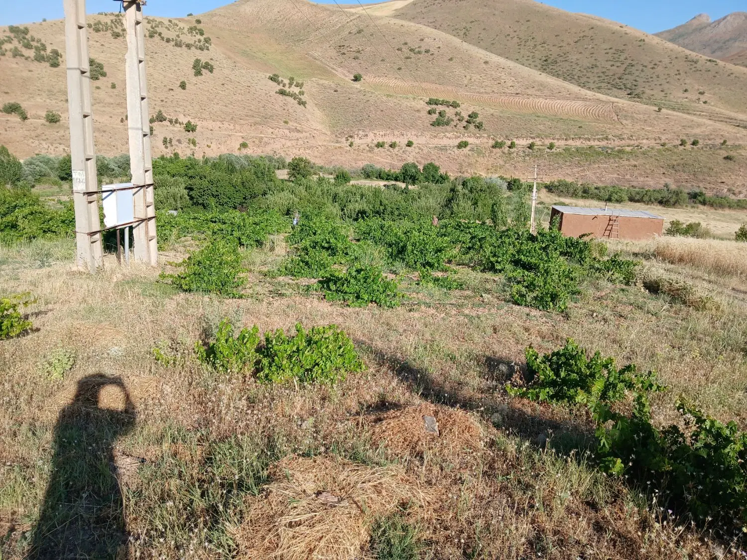 زمین کشاورزی دربهترین موقعیت مکانی