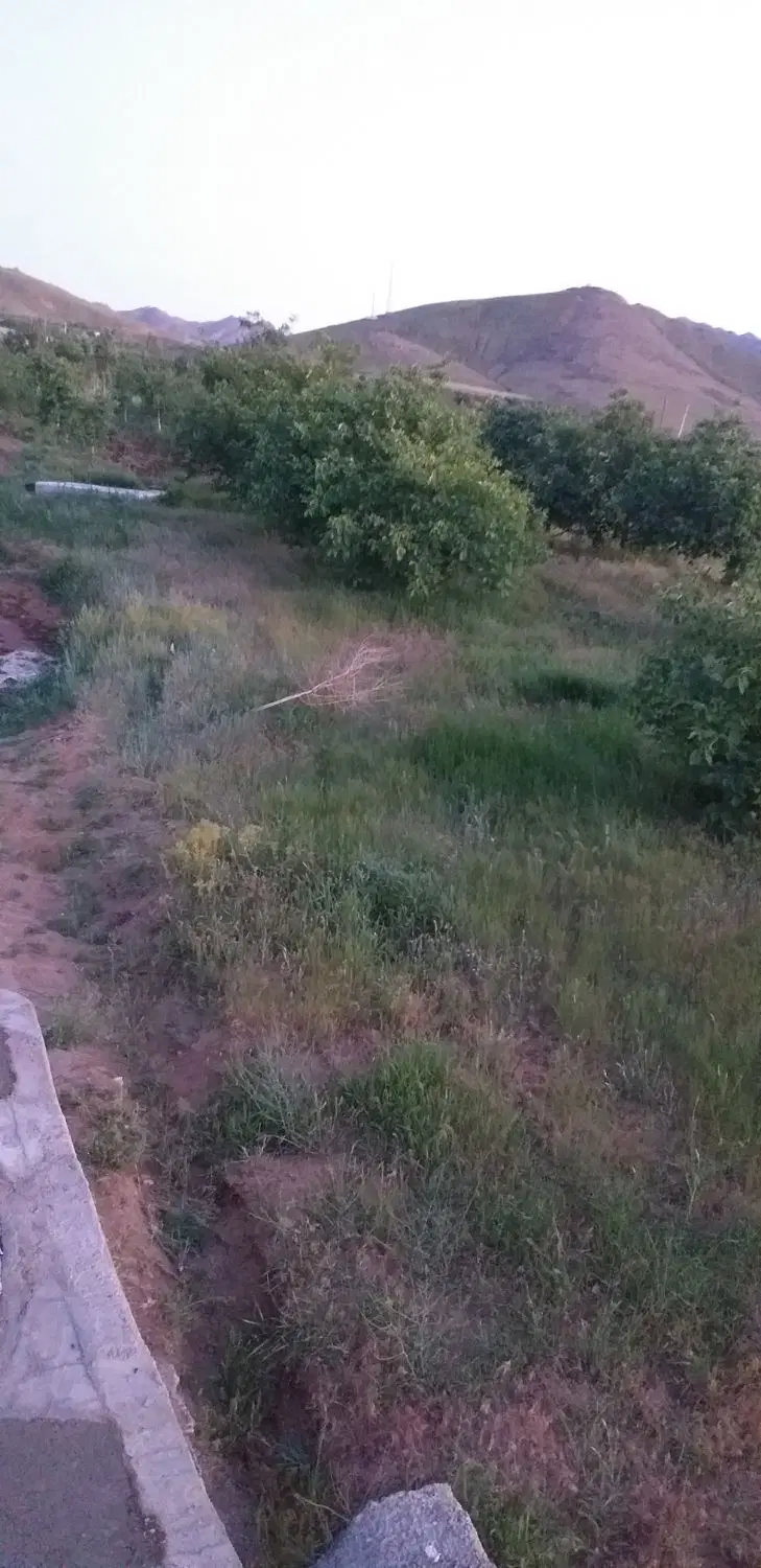 باغ