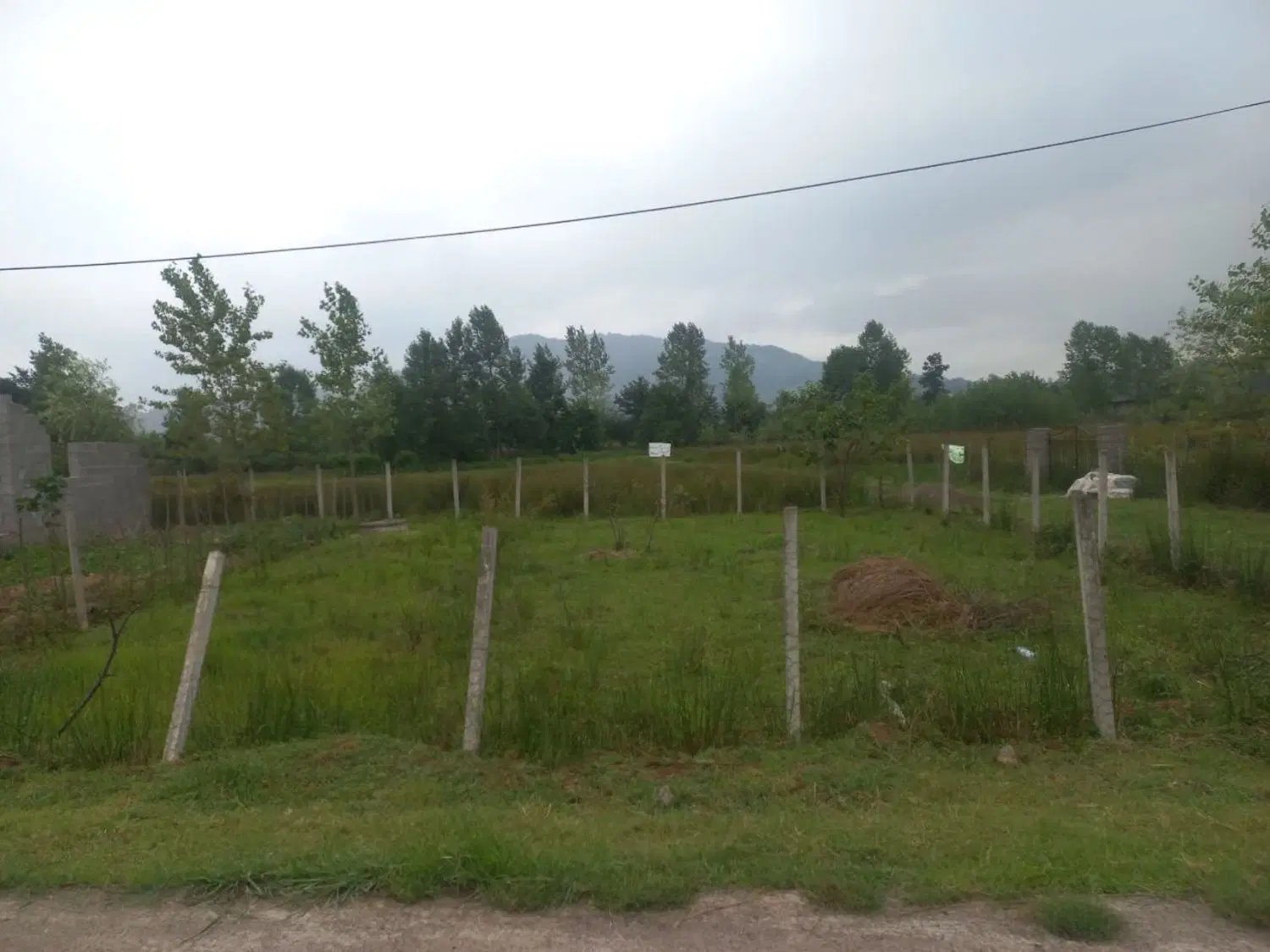 زمین باغی چماچا