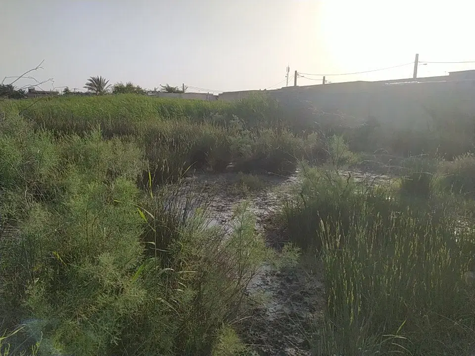 زمین 236 متر