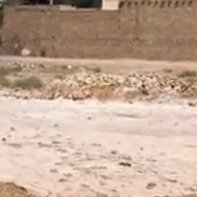 زمین مسکونی ۳۵۰ متر شش دانگ کوچه زیتون (پاکنژاد)