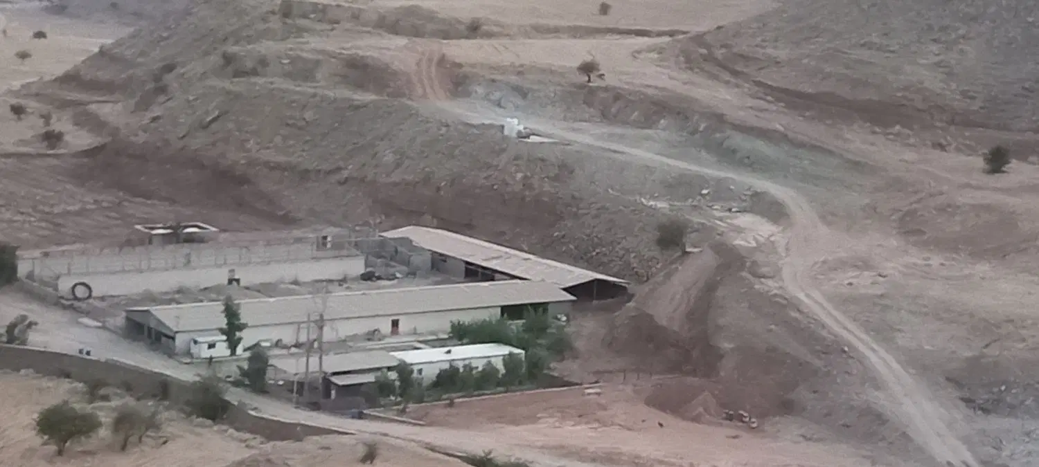 بزرگترین مزرعه پرورش مرغ