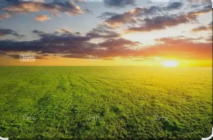 اجازه زمین کشاورزی