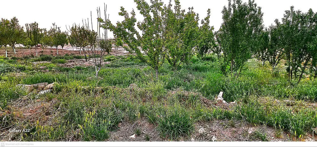باغچه ۶۰۰ متری