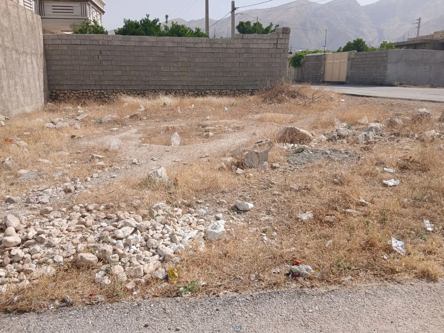 زمین