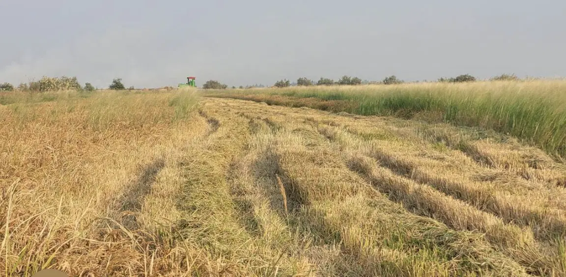 زمین بالای شهرک الوند معروف به بالای سیاه کولانج