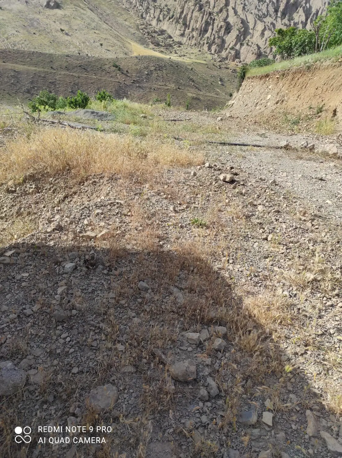 زمین مسکونی مخصوص خانه باغ ،ملکشاهی