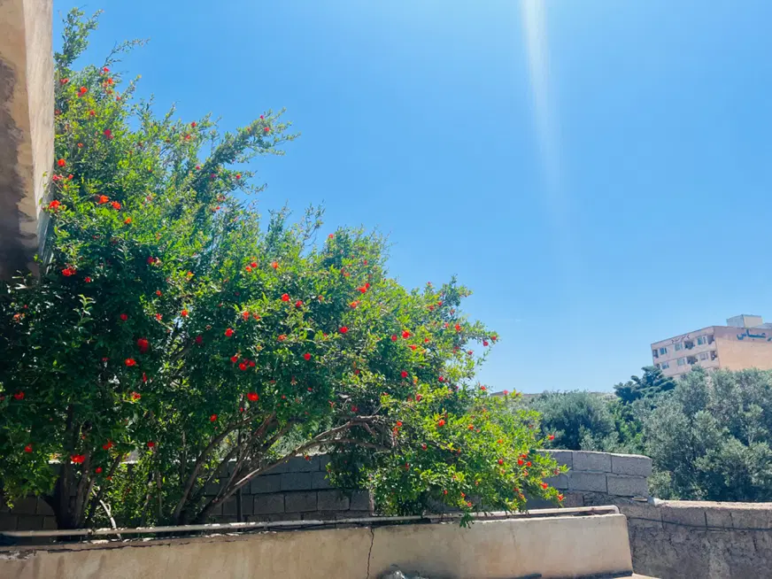 ویلا اجاره ای